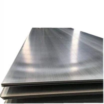 Platte De Aço Inox 310